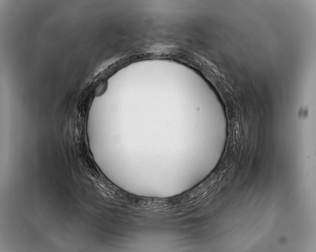 X0000098081158200805021015