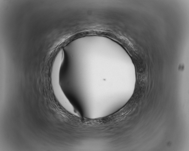 X0000098081159200805021015