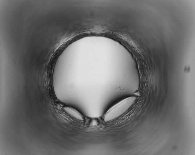 X0000098081160200805021015