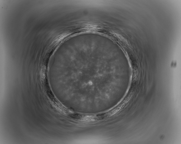 X0000098081161200805021015