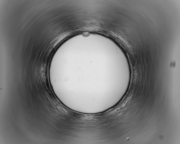 X0000098081162200805021015