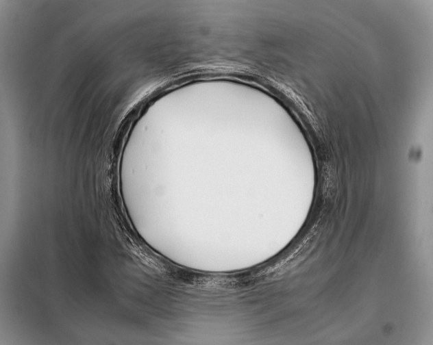 X0000098081163200805021015