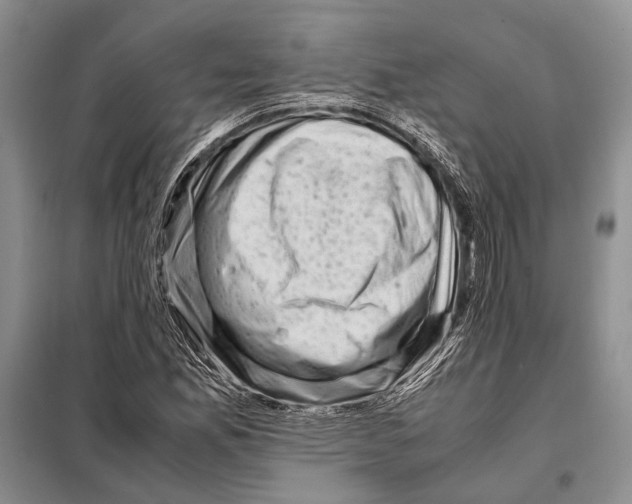 X0000098081165200805021015