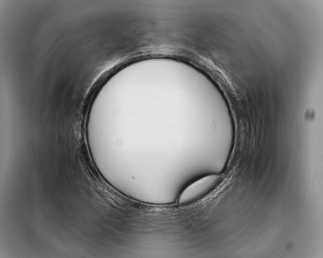 X0000098081166200805021015