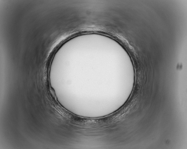 X0000098081167200805021015