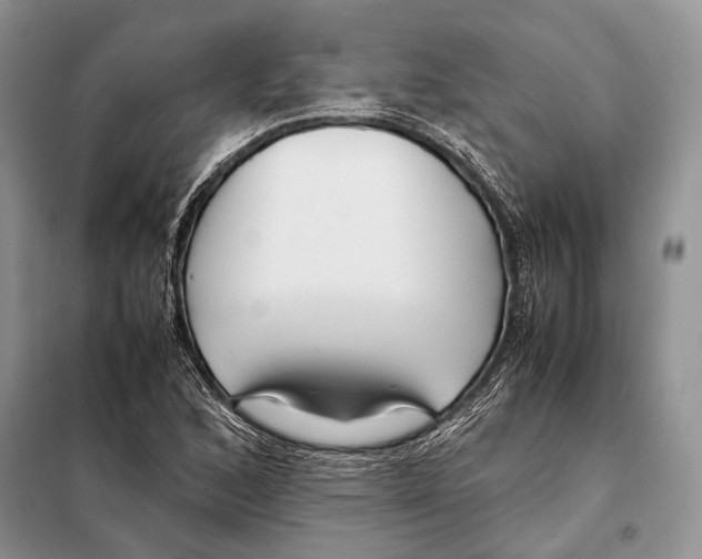 X0000098081168200805021015