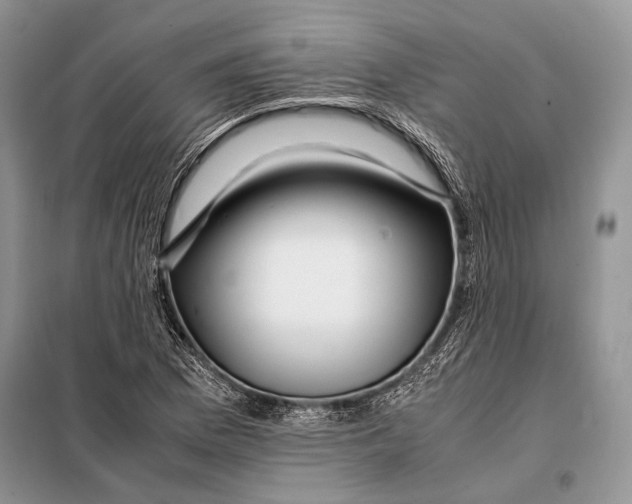 X0000098081169200805021015