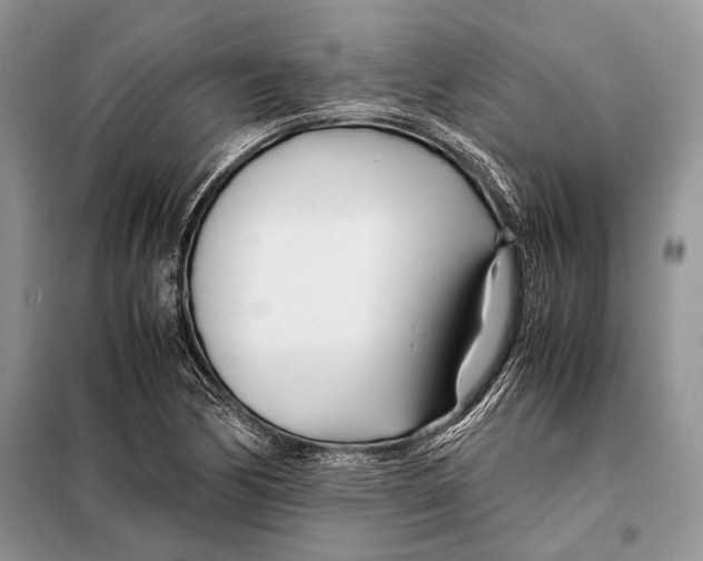 X0000098081170200805021015