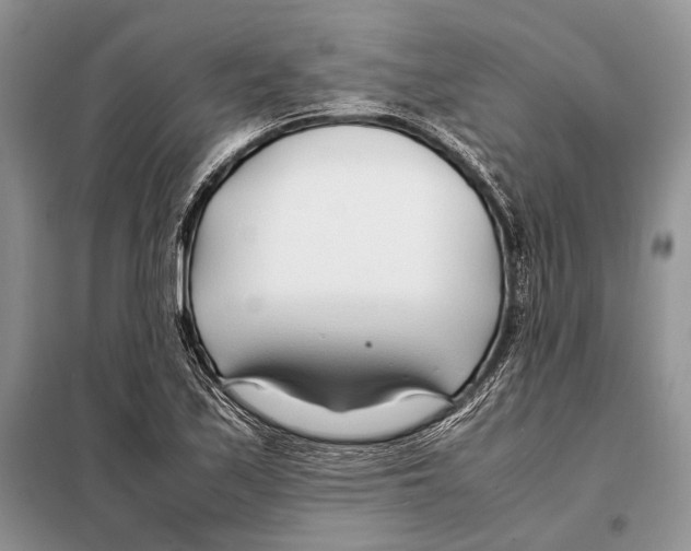 X0000098081171200805021015