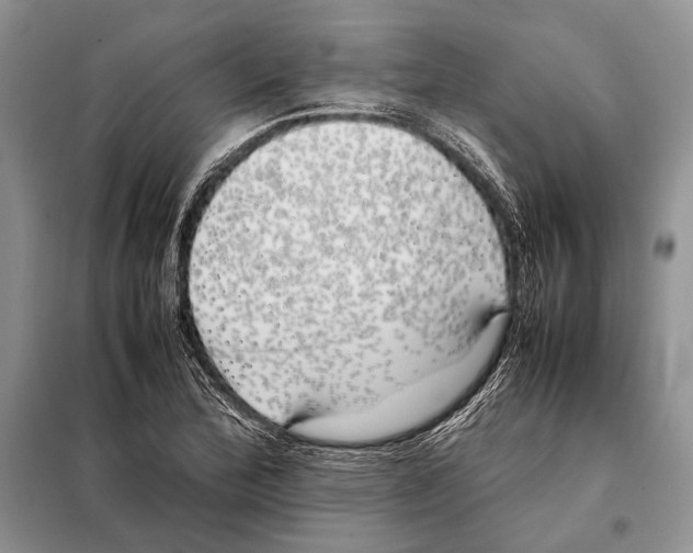 X0000098081172200805021015