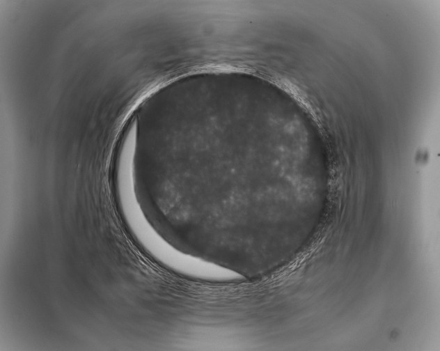 X0000098081173200805021015