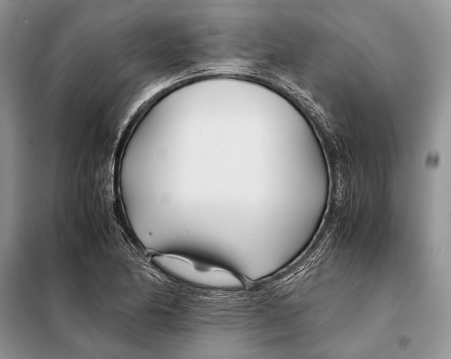 X0000098081174200805021015