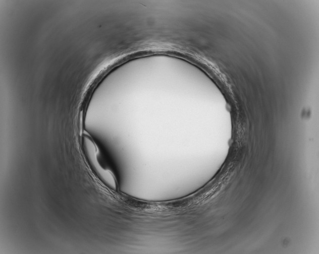 X0000098081175200805021015