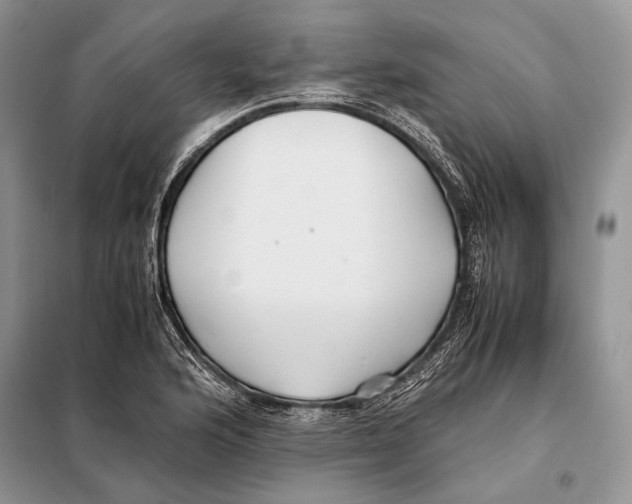 X0000098081176200805021015