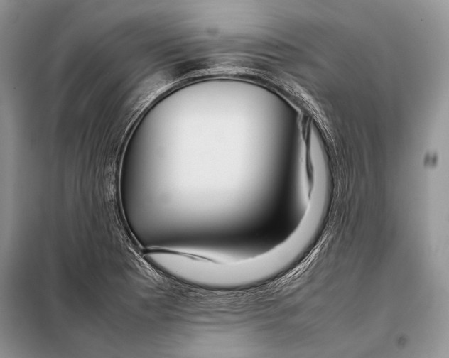 X0000098081177200805021015