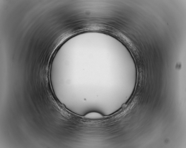 X0000098081178200805021014