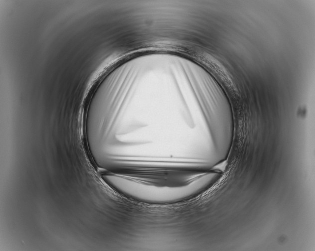 X0000098081180200805021014