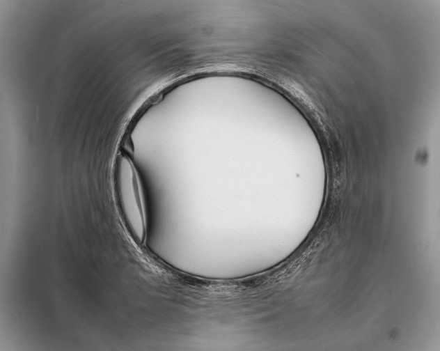 X0000098081181200805021014