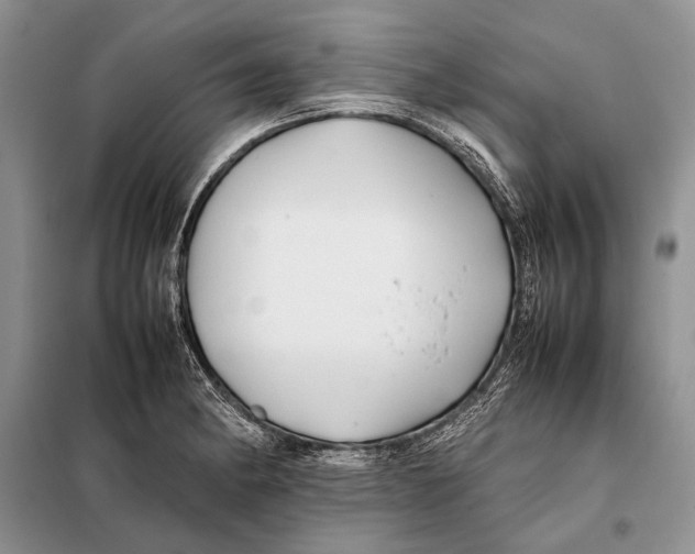 X0000098081182200805021014