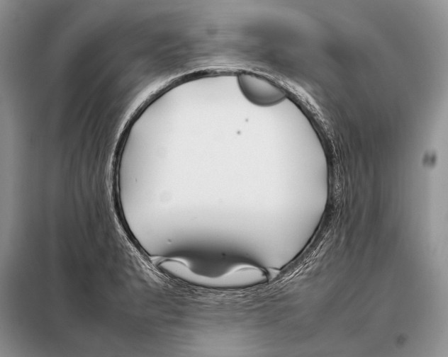 X0000098081183200805021014