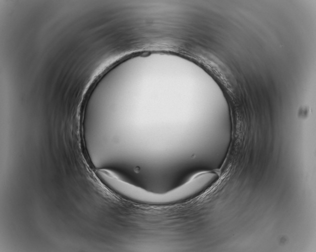 X0000098081184200805021014