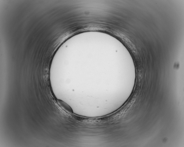 X0000098081185200805021014
