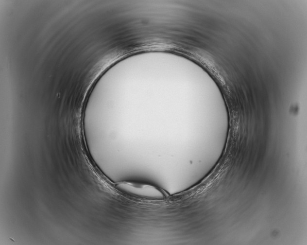 X0000098081186200805021014