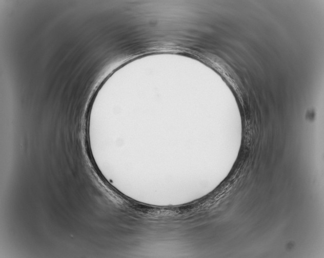 X0000098081187200805021014