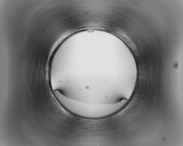 X0000098081188200805021014