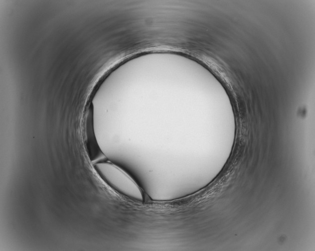 X0000098081189200805021014