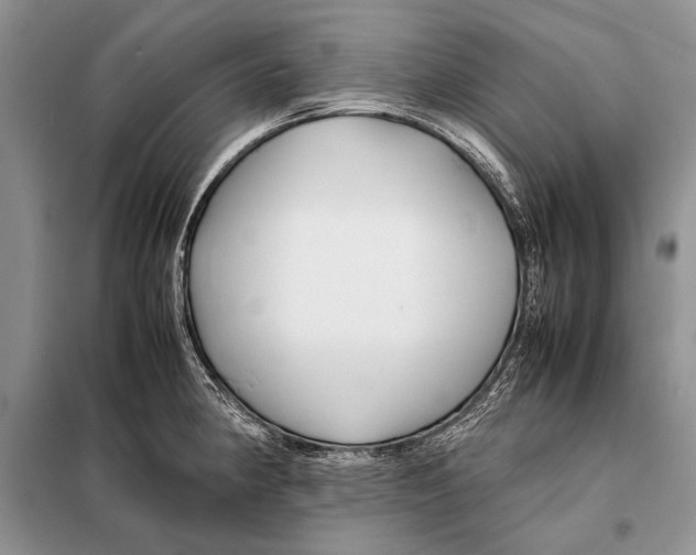X0000098081190200805021014