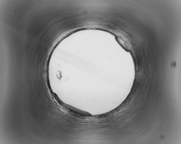 X0000098081191200805021014