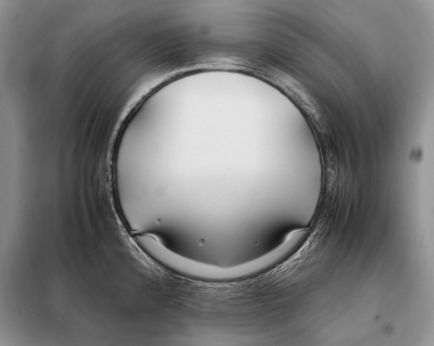 X0000098081192200805021014