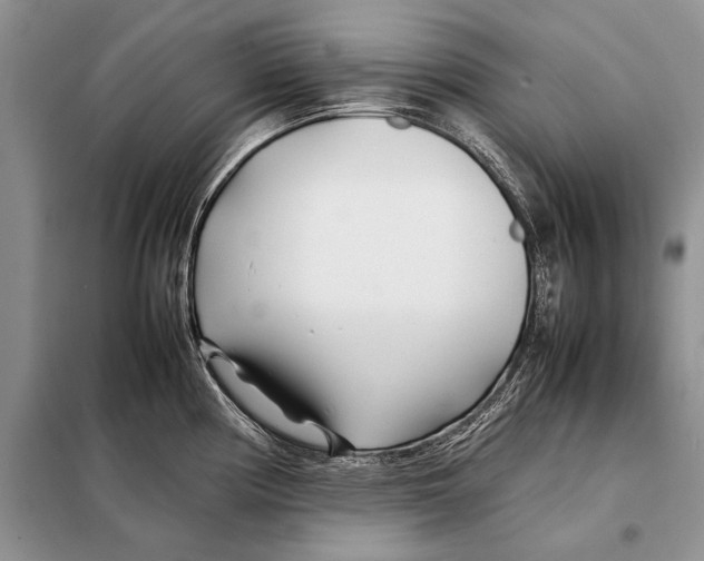 X0000098081194200805021014