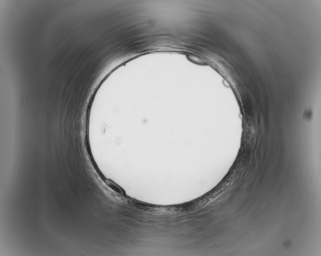 X0000098081195200805021014