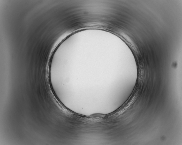 X0000098081196200805021014