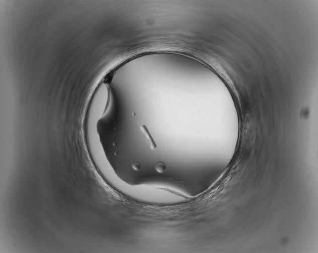 X0000098081197200805021014