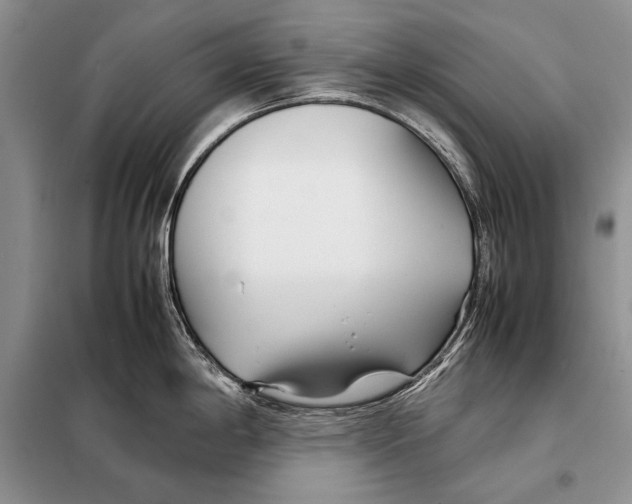 X0000098081198200805021014