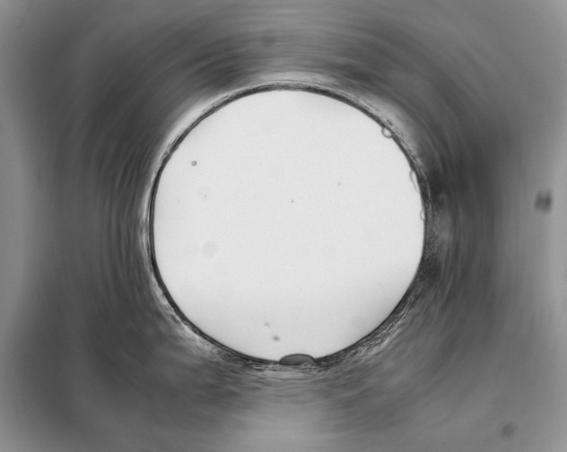 X0000098081199200805021014