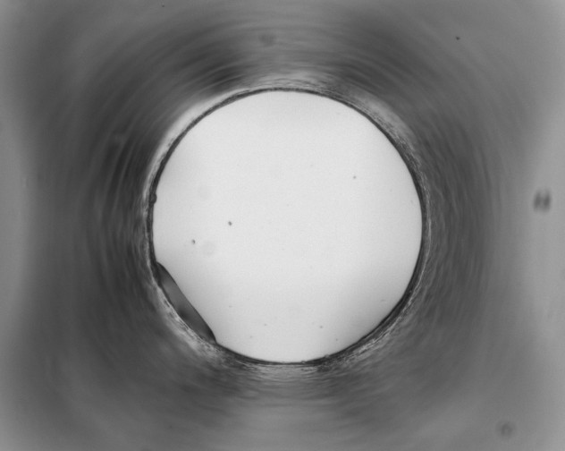 X0000098081200200805021014