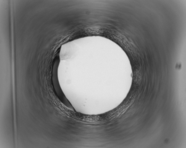 X0000098081201200805021013