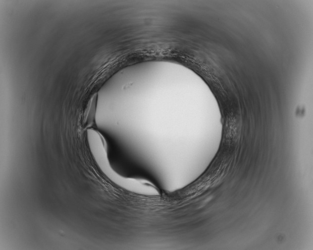 X0000098081202200805021013