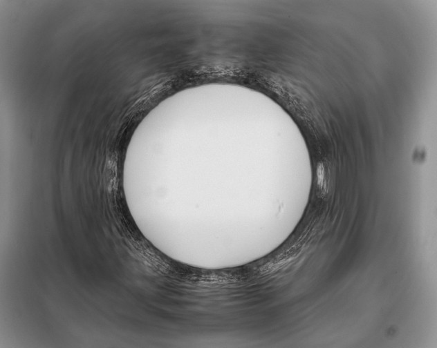 X0000098081203200805021013