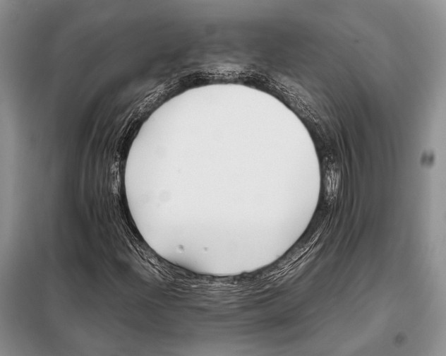 X0000098081204200805021013