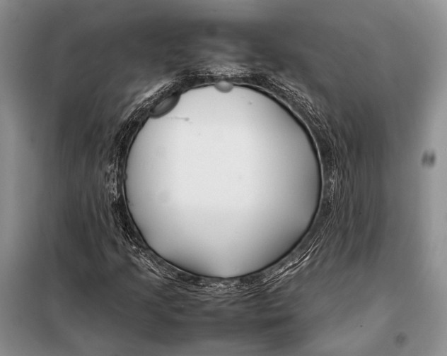 X0000098081205200805021013