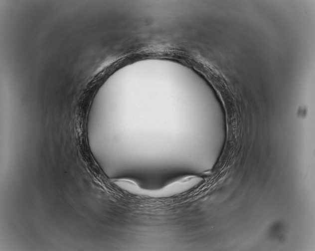 X0000098081206200805021013