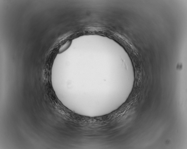 X0000098081207200805021013