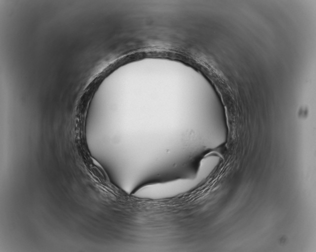 X0000098081208200805021013