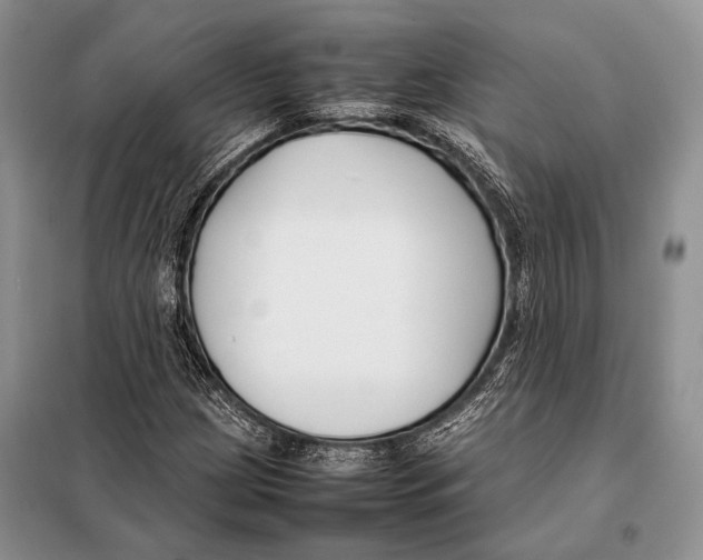 X0000098081209200805021013