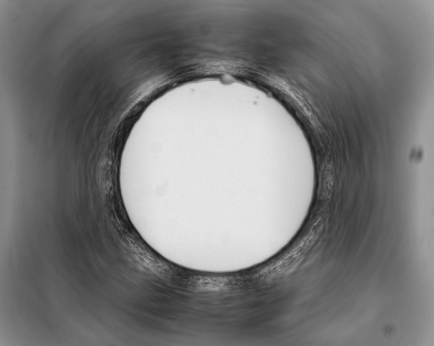 X0000098081211200805021013